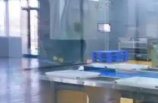 从&ldquo;吃饱&rdquo;到&ldquo;吃对&rdquo;：食品产业的全链路突围