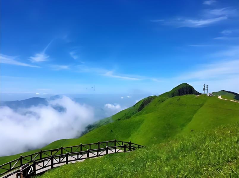 踏云登顶见碧草 - 解码世界顶级高山草甸生态保护&ldquo;武功山方案&rdquo;