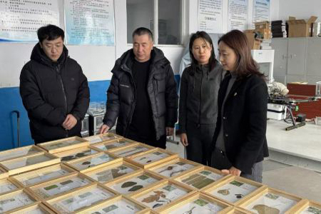 黑龙江克山县：抓实本土人才队伍建设激活乡村振兴源动力