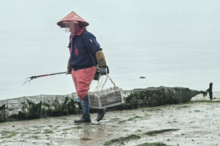 厦门海渔综合执法二大队：泥泞亮剑守护生态 滩涂电虾无所遁形