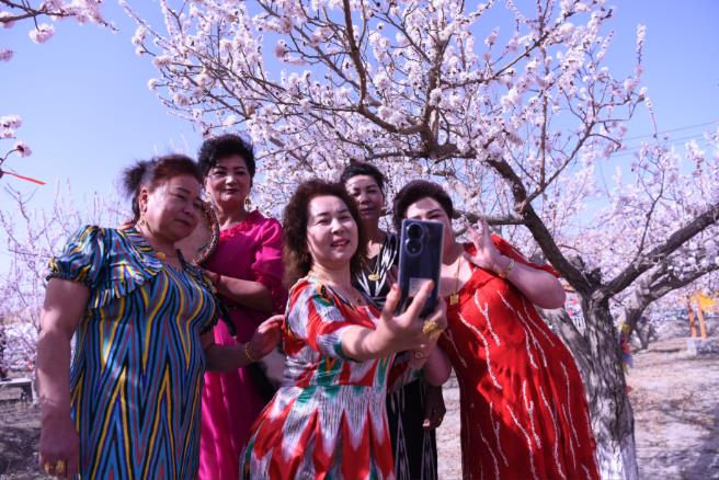 昆仑山下杏花如海 喀什&ldquo;赏花+&rdquo;解锁春季文旅新范式