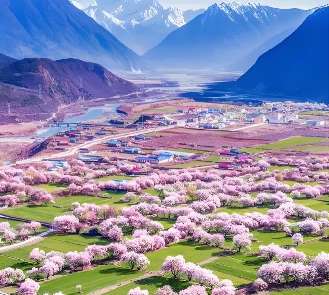 昆仑山下杏花如海 喀什&ldquo;赏花+&rdquo;解锁春季文旅新范式