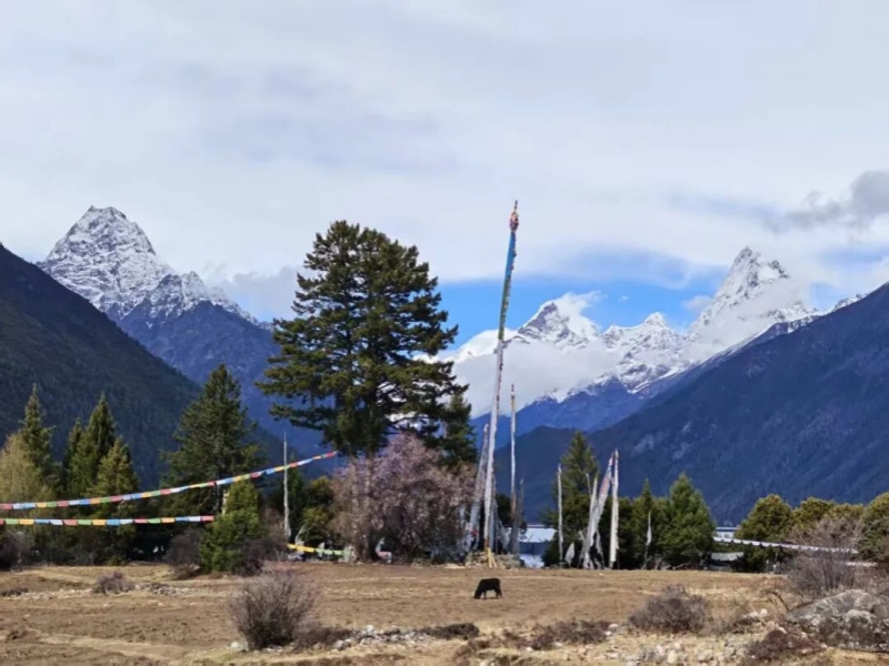 探秘西藏：从雪山云海到圣城古寺 一场入心的雪域奔赴