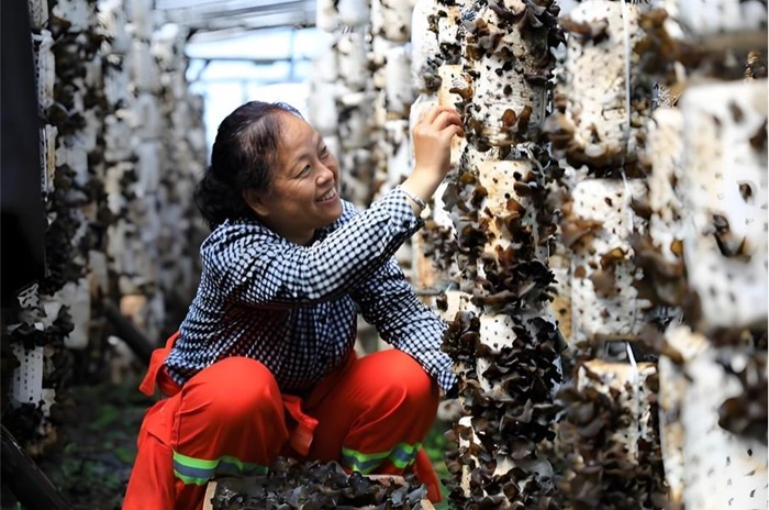 &ldquo;改革是零成本的產(chǎn)業(yè)&rdquo;：內(nèi)蒙古森工集團(tuán)破冰突圍背后的&ldquo;新森工&rdquo;邏輯