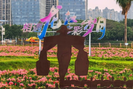 漳州龙江岁月景区：烂漫花海绽放春日魅力 多彩惬意续写文旅新篇