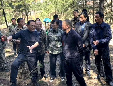 太行林下生金：武乡胡庄绘就乡村振兴新画卷