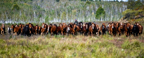 黑龙江&ldquo;龙江乡韵・和美乡村&rdquo;图片视频征集评选结果揭晓