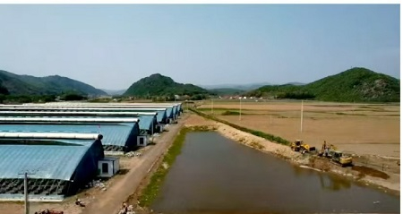 辽宁岫岩县以环境&ldquo;颜值&rdquo;激活产业&ldquo;动能&rdquo;