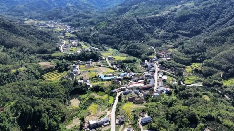 高车乡：&ldquo;三味甜蜜&rdquo;绘就乡村振兴新画卷