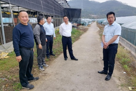 錨定8.58萬畝目標(biāo) 南靖縣構(gòu)建&ldquo;責(zé)任到人+農(nóng)技下沉+惠農(nóng)直達(dá)&rdquo;全鏈條保障機(jī)制