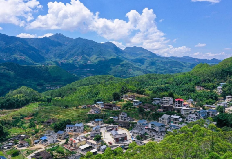 高车乡：&ldquo;三味甜蜜&rdquo;绘就乡村振兴新画卷