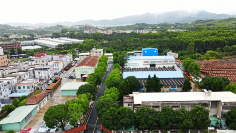 深耕交安賽道 科創(chuàng)賦能路網(wǎng) - 訪福建中馳交通工程有限公司