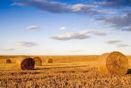 第四届亚洲演化生物学大会在昆明召开