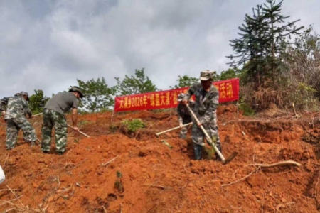 龍巖永定：迷彩護青山 志愿添新綠