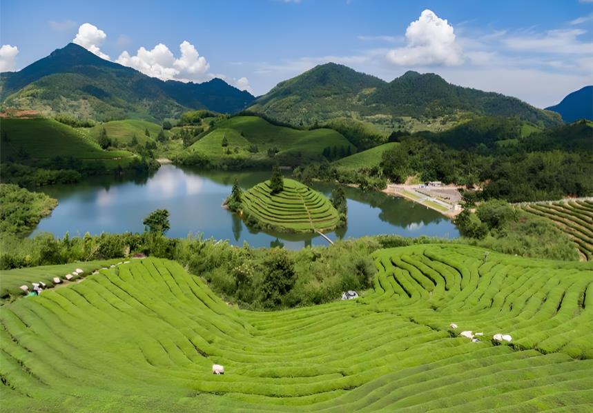 浙中深山崛起&ldquo;現(xiàn)代農(nóng)業(yè)樣板&rdquo;：武義國家現(xiàn)代農(nóng)業(yè)產(chǎn)業(yè)園繪就&ldquo;百億富民&rdquo;新圖景