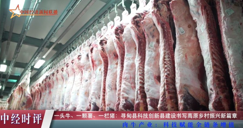 一頭牛、一顆薯、一欄豬 - 尋甸縣科技創(chuàng)新縣建設(shè)書(shū)寫(xiě)高原鄉(xiāng)村振興新篇章