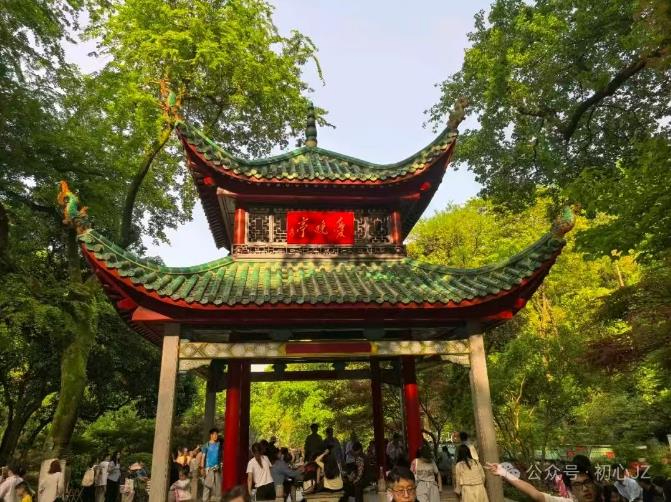 慢煮時(shí)光  靜賞日常