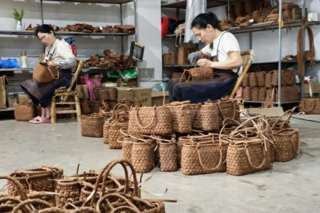 青春筑夢藤編產業(yè) 非遺煥彩助力振興 - 永泰藤職人深耕藤藝書寫鄉(xiāng)村發(fā)展新篇