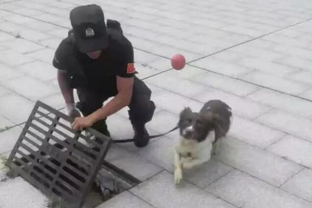 退役軍人廖明亮：跨界逐夢守本色 躬身實干報家鄉(xiāng)