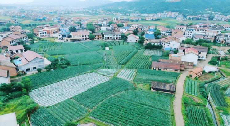 醴陵长庆村、茶溪村入选湖南省2026年度省级和美乡村建设重点村