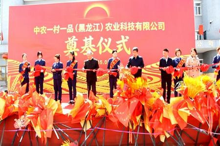 中农一村一品项目在黑龙江林县奠基 助力打造寒地特色农业全产业链