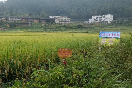 把学问种进泥土里的乡建&ldquo;行者&rdquo;- 记永泰县乡村振兴特聘指导员车海生