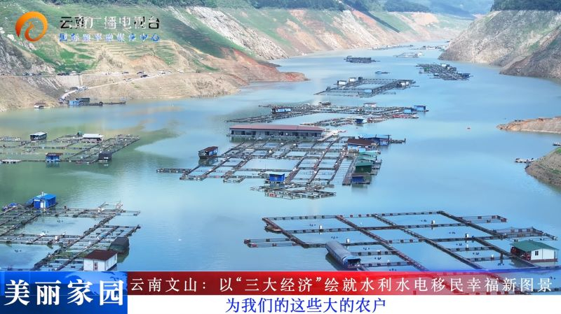 【&ldquo;三大经济&rdquo;助力云南移民新村高质量发展】文山：以&ldquo;三大经济&rdquo;绘就水利水电移民幸福新图景