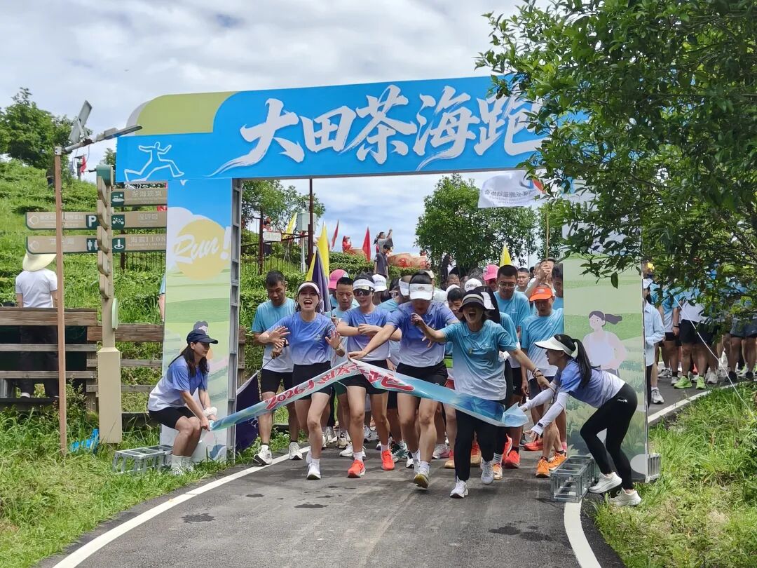 福建大田第六届美人茶开茶，千年茶乡开新芽