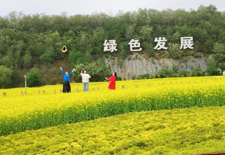 昔日排岩场今日&ldquo;黄金海&rdquo;- 鞍钢矿山生态复垦书写绿色发展样板