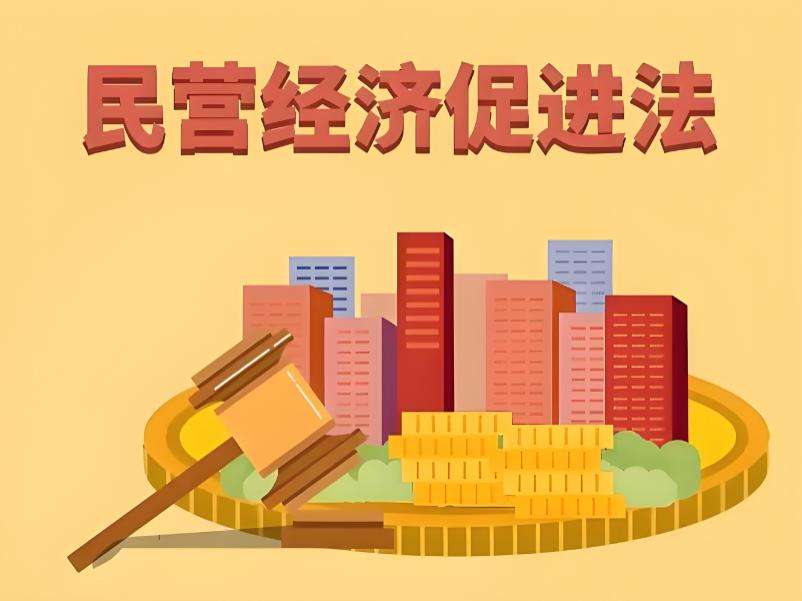 &ldquo;长出牙齿&rdquo;的法治靠山：民营经济促进法一周年考
