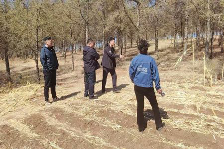 龙江县济沁河乡多措并举织密森林草原防火安全网