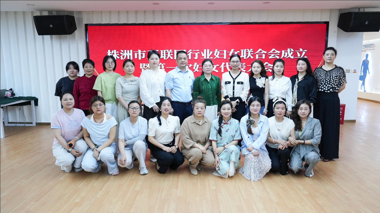 株洲市互联网行业妇女联合会成立，文芬当选首届主席