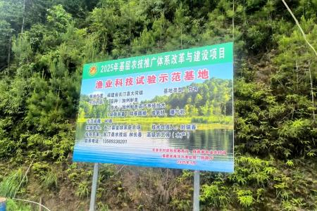 长汀县大同镇：水美鱼肥产业兴 生态养殖激活乡村振兴好&ldquo;钱&rdquo;景