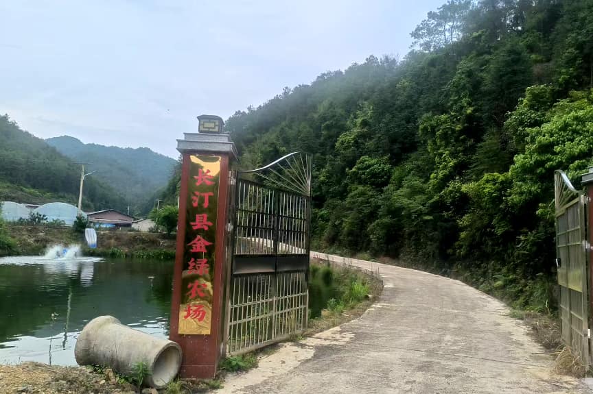 长汀县大同镇：水美鱼肥产业兴 生态养殖激活乡村振兴好&ldquo;钱&rdquo;景