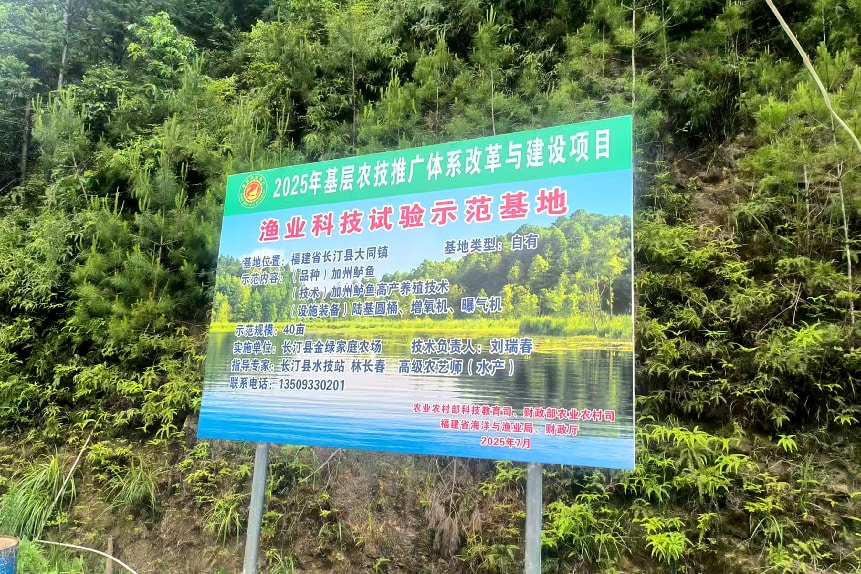长汀县大同镇：水美鱼肥产业兴 生态养殖激活乡村振兴好&ldquo;钱&rdquo;景
