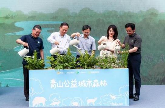 城市里的森林：当动物园悄然发生变化，野生动物回来了