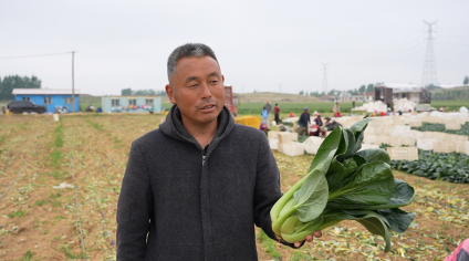 一肥六效，鲁花花生肽肥的化肥替代之路&mdash;&mdash;在田间地头实地探访鲁花花生肽肥六大&ldquo;超能力&rdquo;