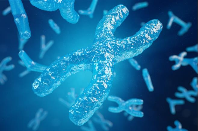我国首部海洋生物医药产业政策发布：2030年市场规模剑指1300亿，&ldquo;蓝色药库&rdquo;上升为国家战略