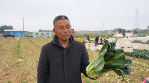 一肥六效，鲁花花生肽肥的化肥替代之路&mdash;&mdash;在田间地头实地探访鲁花花生肽肥六大&ldquo;超能力&rdquo;