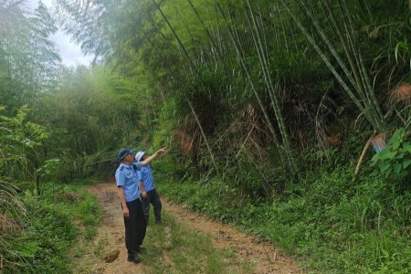 福建南靖：警林联勤拧紧生态"安全阀" 筑牢森林防火墙