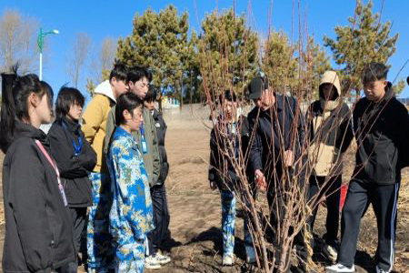 黑龙江克山县 &ldquo;三位一体&rdquo;打造高素质专业化教育人才队伍