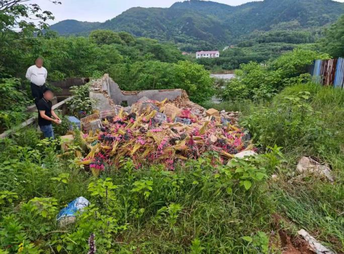 醴陵公安&ldquo;雷霆&rdquo;行动：强力打击烟花爆竹非法生产，4起典型案例曝光，多人被拘