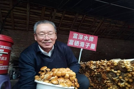 黑土地上的"双轮"答卷 - 记隋贵富的科技兴农路