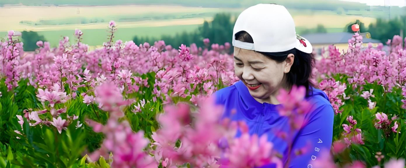 药香花海染鹤城  齐齐哈尔碾子山千亩中草药花海迎盛花期