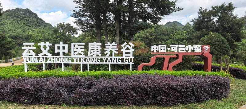 从民俗符号到产业引擎 - 透视弥勒&ldquo;元小艾&rdquo;模式下的乡村振兴与康养变革