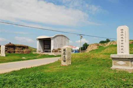 粽香润初心传帮带温情 泰来县塔子城镇开展新时代文明实践主题活动