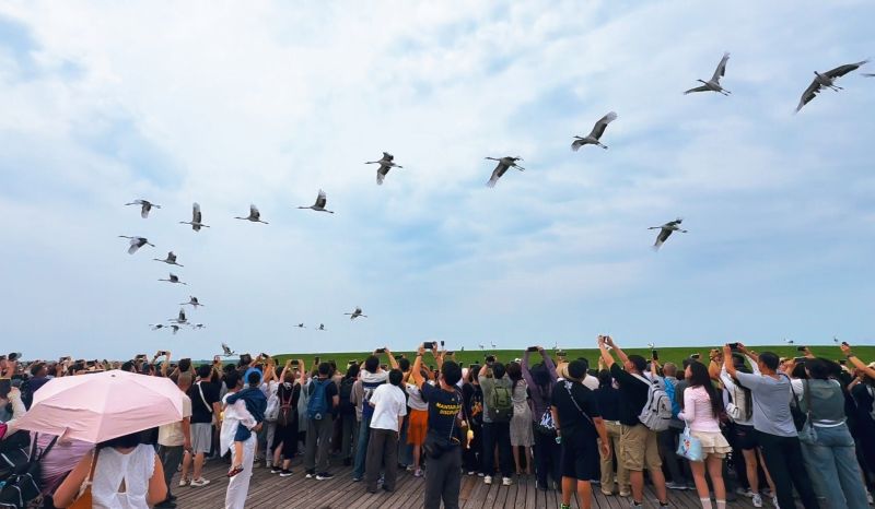 齐齐哈尔扎龙生态旅游区多彩活动迎游客