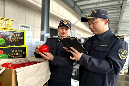 货运破60万吨 通关增12.3%，绥芬河公路口岸跑出向北开放"加速度"