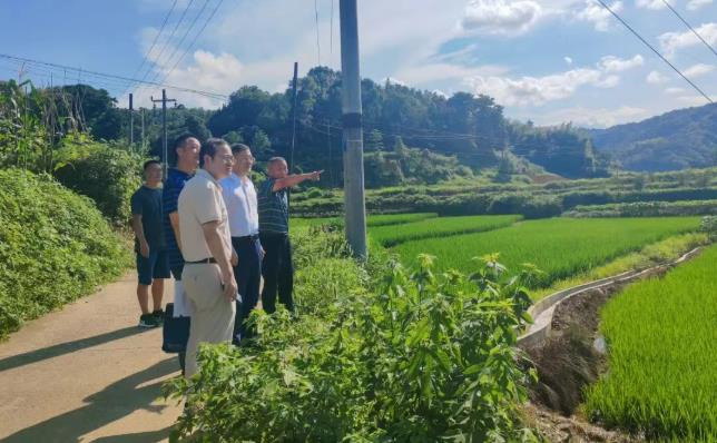从&ldquo;输血&rdquo;到&ldquo;造血&rdquo;：湖南文旅集团探索定点帮扶新路径