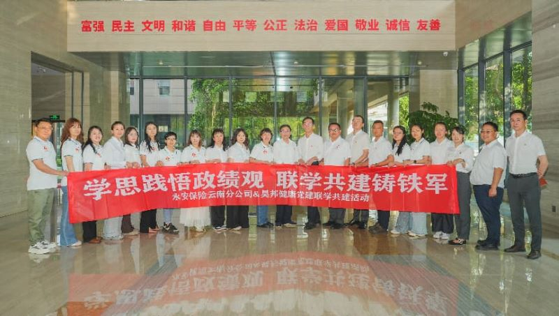 2026云南&ldquo;安全生产月&rdquo;永安保险云南分公司落实安责险制度护航云岭发展